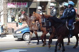 mounted police officers mounted on police officers