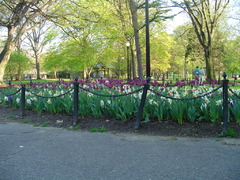 the boston gardens