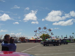 the manistee county fair