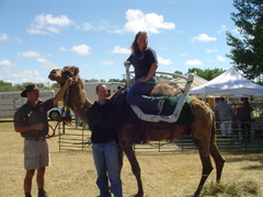 monica and orin hang out with gunther the camel