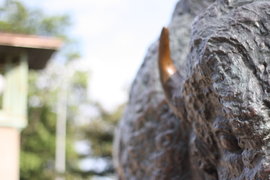 bison statue in humboldt park