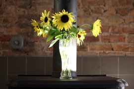 the setting sun lights up a centerpiece in the dining area at the hopleaf