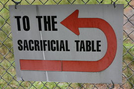 this way to the sacrificial table