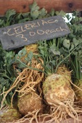 strange and delicious celery root