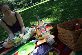 picnicing in washington square