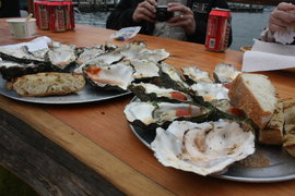 bar-b-queue oysters at the marshall store