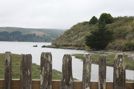 looking out into tomales bay