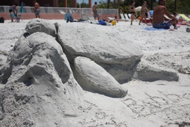 bubba the sand turtle
