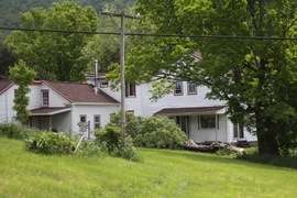 the house with the downed tree