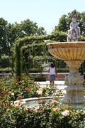 the rose garden fountain