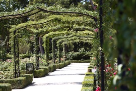 walkways in the rose garden