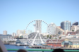seattle from the sea