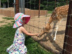 oh deer, don't fawn over her