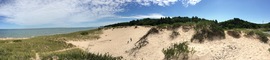 the dunes
