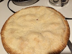 more seven plum pie