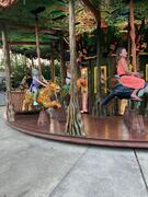 fastest cat on the carousel
