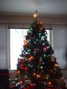 the christmas tree at the folk's house