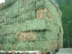 hay, what's going on? bale me out!