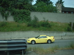 a yellow mustang of an appealing color