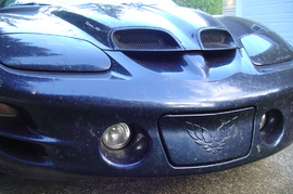 2000 miles of bugs on the front of the trans-am