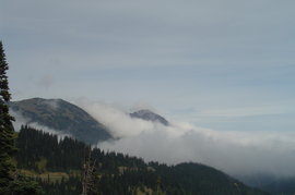 looking out over the clouds from hurricane ridge